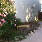 Agula Mora Villa *
