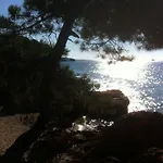 Agula Mora * Lecci