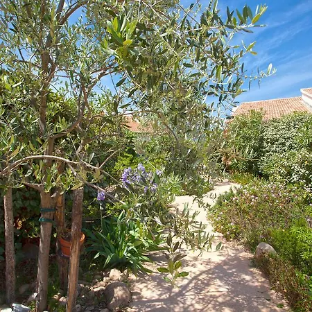 Agula Mora * Леччи