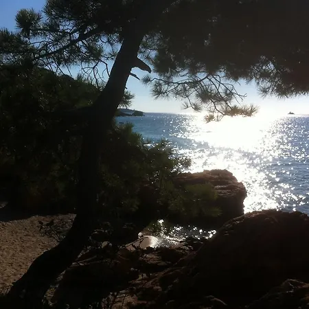 Agula Mora * Леччи