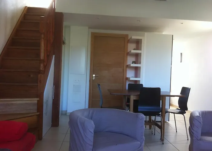Agula Mora فيلة